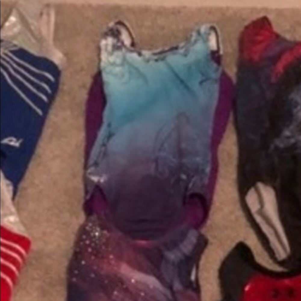 Blue and purple lauri leotard